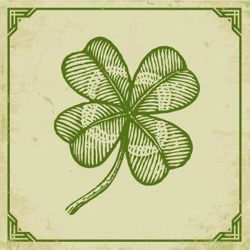 Green clover on old paper 库存插图