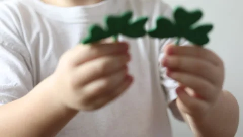 Green clower close up in hands of little boy  on St. Patrick's Day Stock Footage 147452231