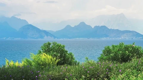Green coast on the background of the sea and mountains. Stock Footage 80211456