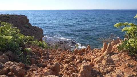 Green coastal vegetation on rocky cliffs overlooking the blue sea Stock Footage 337409023