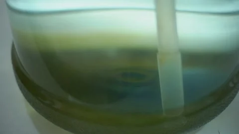 Green coating on the bottom of a large, 19 liter bottle for drinking water Vídeo Stock 239611382