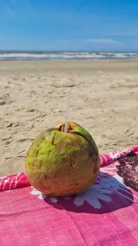 Green Coconut on the Beach Stock Photos
