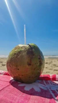 Green Coconut on the Beach Stock Photos