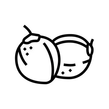 Green coconut coco line icon vector illustration Ilustración de archivo