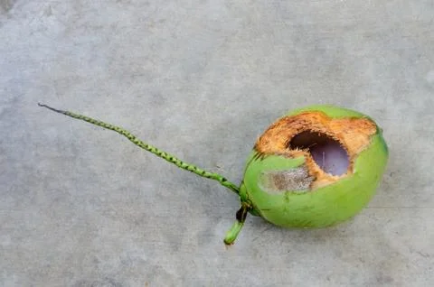 Green coconut with hole on ground Stock Photos