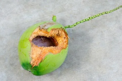 Green coconut with hole on ground Stock Photos