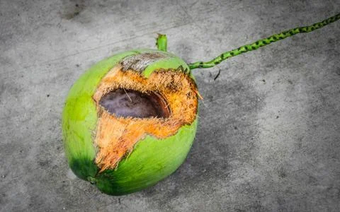 Green coconut with hole on ground Stock Photos