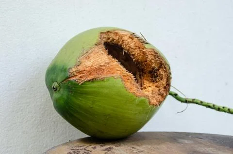 Green coconut with hole on table Stock Photos