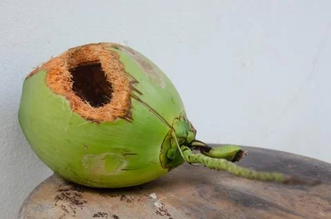 Green coconut with hole on table Stock Photos