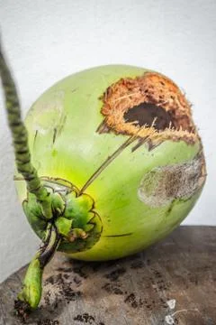 Green coconut with hole on table Stock Photos