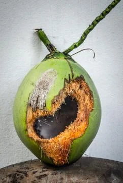 Green coconut with hole on table Stock Photos