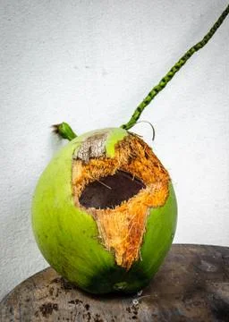 Green coconut with hole on table Stock Photos