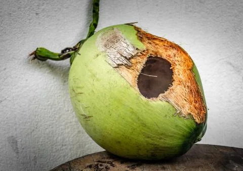Green coconut with hole on table Stock Photos