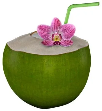 Green Coconut Nut 3D Rendering Stock Illustration