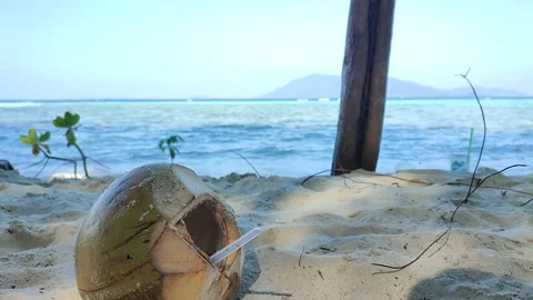 Green Coconut On The Sandy Beach Stock Footage 243431348