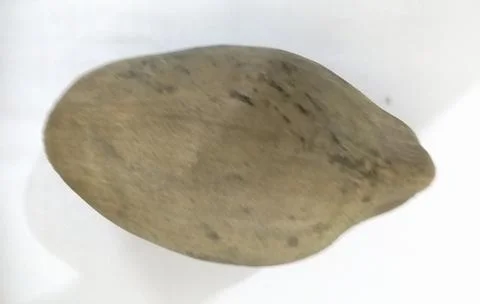 Green coconut with shell Stock Photos