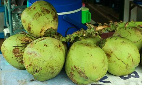 Green coconut on the table Stock Photos