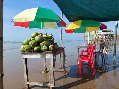 Green coconut on the table with umbrella ,red chairs on mandarmani sea beach Stock Photos