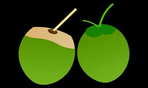 Green Coconut Vector Design And Illustration. Stock Illustration