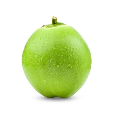 Green coconut on white background Stock Photos