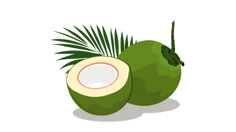 Green coconuts Stock Footage 329780646