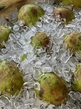 Green Coconuts on Ice Stock Photos