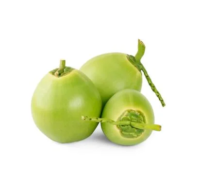Green coconuts isolated on white background Stock Photos
