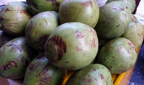Green coconuts to sell. Stock Photos