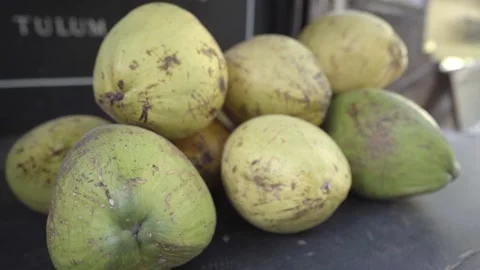 Green coconuts stacked on a wooden structure in tulum mexico Stock Footage 156134983