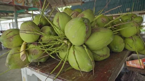 Green coconuts on a table for sale at a shop at daytime Stock-Footage 290215699