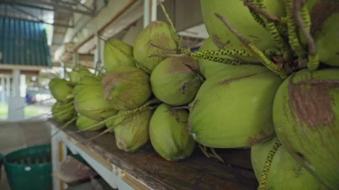 Green coconuts on a table for sale at a shop at daytime Stock Footage 290216319