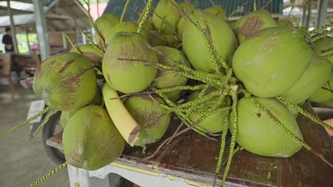 Green coconuts on a table for sale at a shop at daytime Stock Footage 290216622