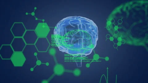 On green code fade-in, 3D holographic brain rotating, revealing structures for Stock Footage 311416907