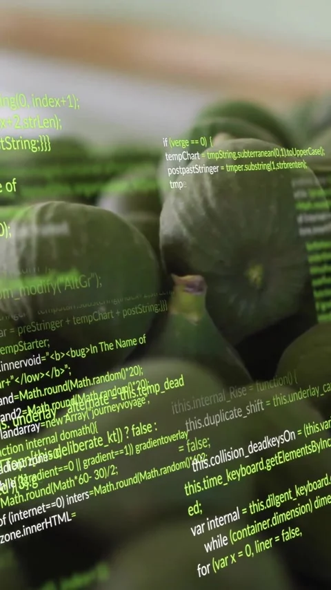 Green code lines animating over fresh green figs Stock Footage 320034688
