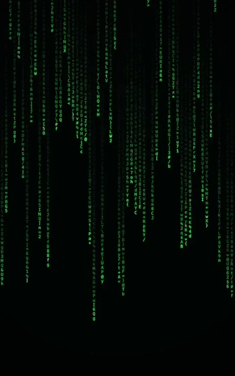 Green code rain terminal animation on black background Stock Footage 343802301