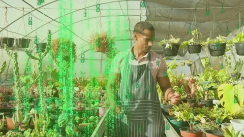 Green code rising over bench and overlaying plants while gardener checking and Stock Footage 333063463