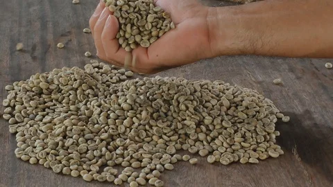 Green Coffee Bean Sampler Vintage Origins Selections. Stock Footage 94228951
