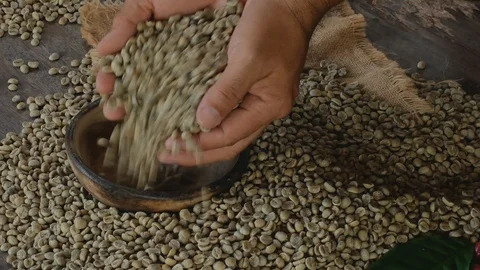 Green Coffee Bean Sampler Vintage Origins Selections. Stock Footage 94229091
