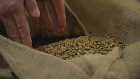 Green coffee beans are in a bag. Slow motion. Stock Footage 82505778