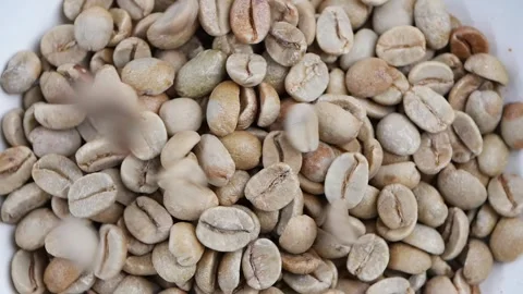 Green coffee beans are shown in a container before roasting Stock Footage 348260658