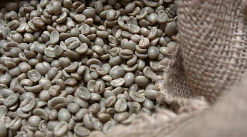 Green Coffee Beans in Bag Stock Footage 47544742