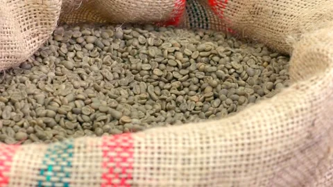 Green coffee beans in a bag before roasting Stock Footage 220057788