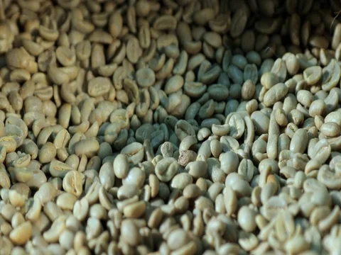 Green coffee beans (close-up) Stock Footage 72730188