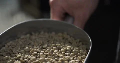 Green coffee beans close shot Stock Footage 238832760