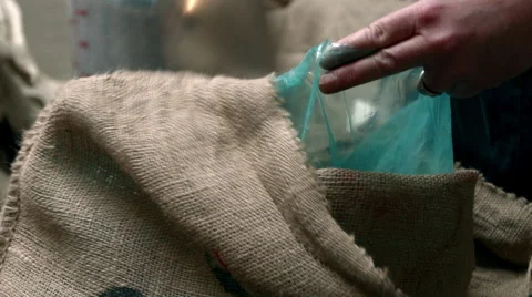 Green Coffee Beans Stock Footage 47544774