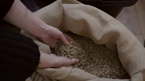 Green coffee beans Stock Footage 149028688