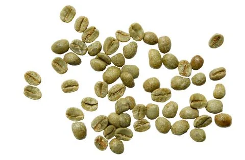 Green Coffee Beans Stock Illustration