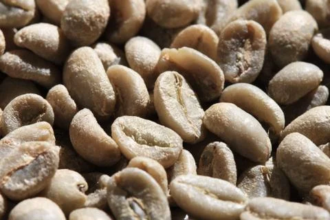 Green coffee beans Stock Photos