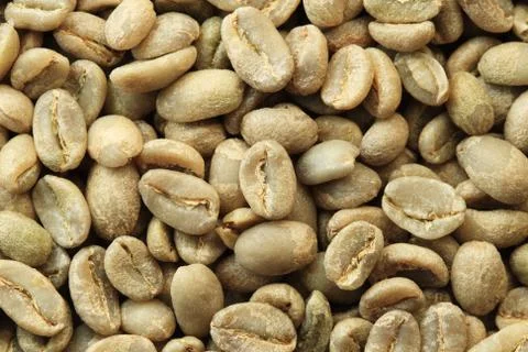Green coffee beans Stock Photos