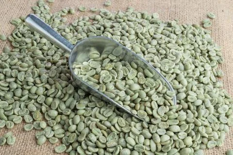 Green coffee beans Stock Photos